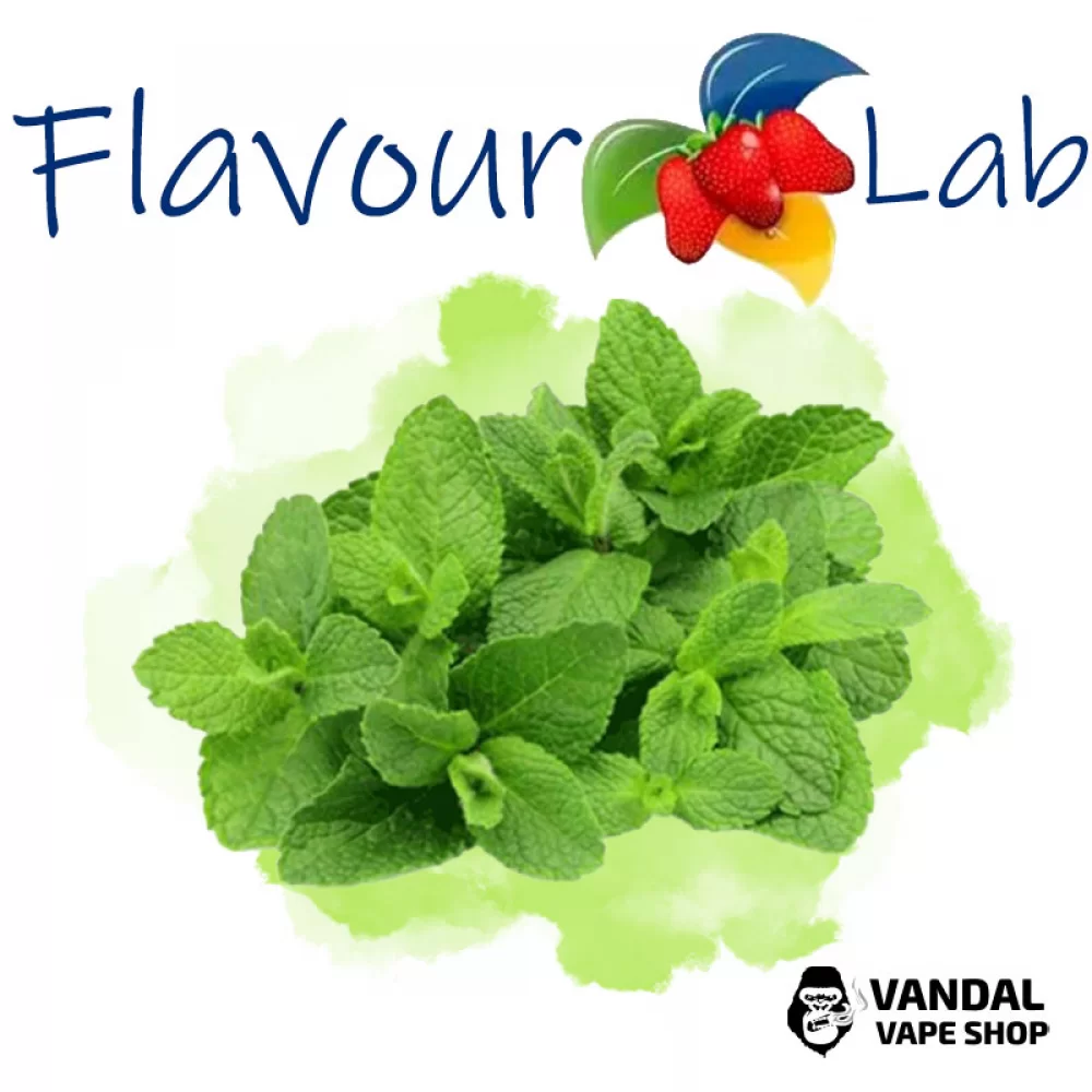 Ароматизатор FlavourLab 10 мл со вкусом ментола Ароматизатор FlavourLab 10 мл со вкусом ментола
