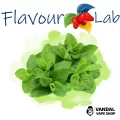 Ароматизатор FlavourLab 10 мл со вкусом ментола Ароматизатор FlavourLab 10 мл со вкусом ментола