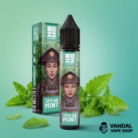 Набор Blizz Essence 30 мл 65 мг - Spearmint