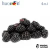 Blackberry