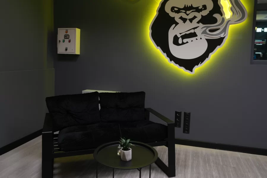 г. Тернополь, улица О. Телиги, 2