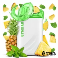 GTM Bar Porter 5000 50 мг 550 мАч - Pineapple Mint