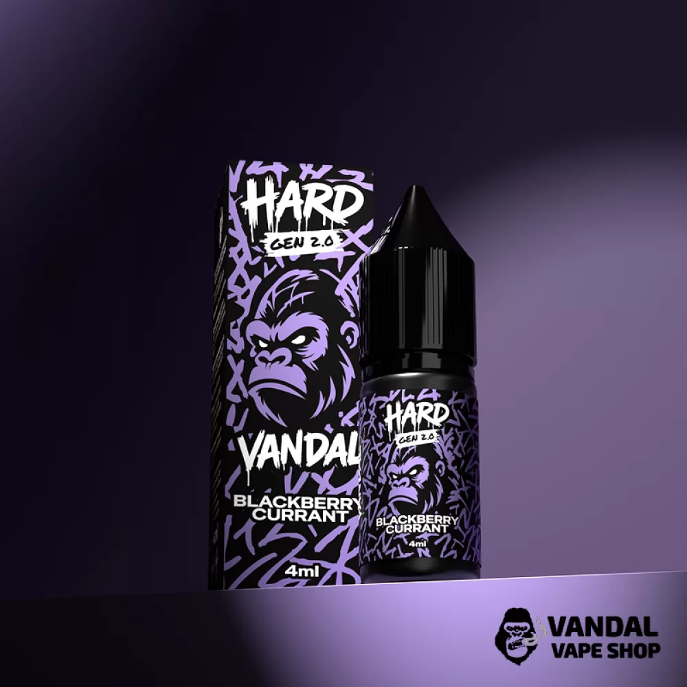 Набор HARD VANDAL 2.0 10 мл 50 мг со вкусом ежевики и смородины