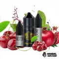 Набор для самозамеса Wick&Wire Salt 30 мл 50 мг со вкусом вишни и граната Набор для самозамеса Wick&Wire Salt 30 мл 50 мг со вкусом вишни и граната