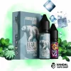 Bear Mint Candy