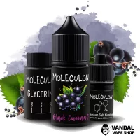 Наборы для самозамеса Moleculon 30 мл 50 мг - Black Currant