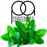 Ароматизатор TPA/TFA 10 мл - Spearmint