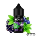 ЖИДКОСТЬ Nova Salt 30 мл НА СОЛЕВОМ НИКОТИНЕ 65 мг со вкусом ягод с мятой ЖИДКОСТЬ Nova Salt 30 мл НА СОЛЕВОМ НИКОТИНЕ 65 мг со вкусом ягод с мятой