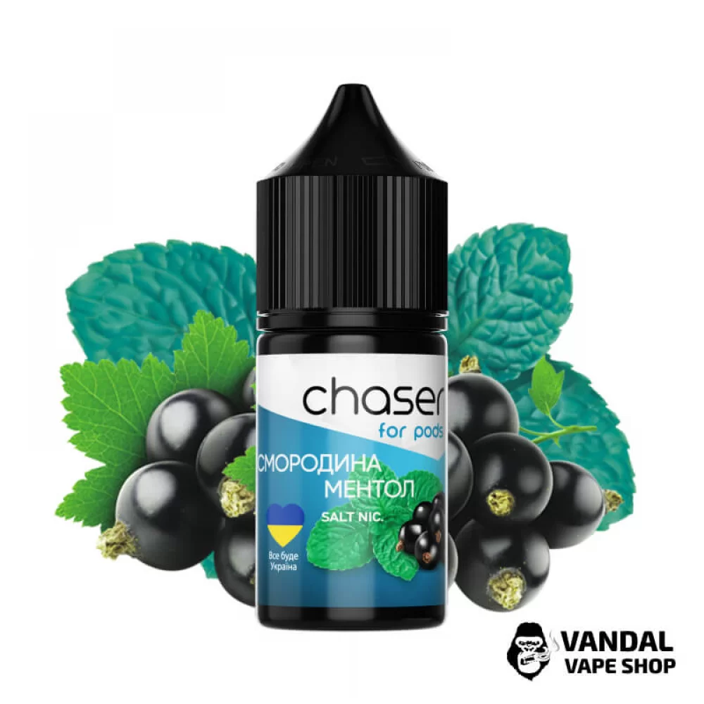ЖИДКОСТЬ Chaser ForPods 30 мл НА СОЛЕВОМ НИКОТИНЕ 50 мг со вкусом смородины с ментолом