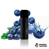 Blueberry