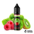 ЖИДКОСТЬ 3Ger Salt - Raspberry Kiwi 15 мл 50 мг НА СОЛЕВОМ НИКОТИНЕ СО ВКУСОМ малины и киви