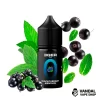 Blackcurrant Menthol