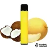 Coconut Melon