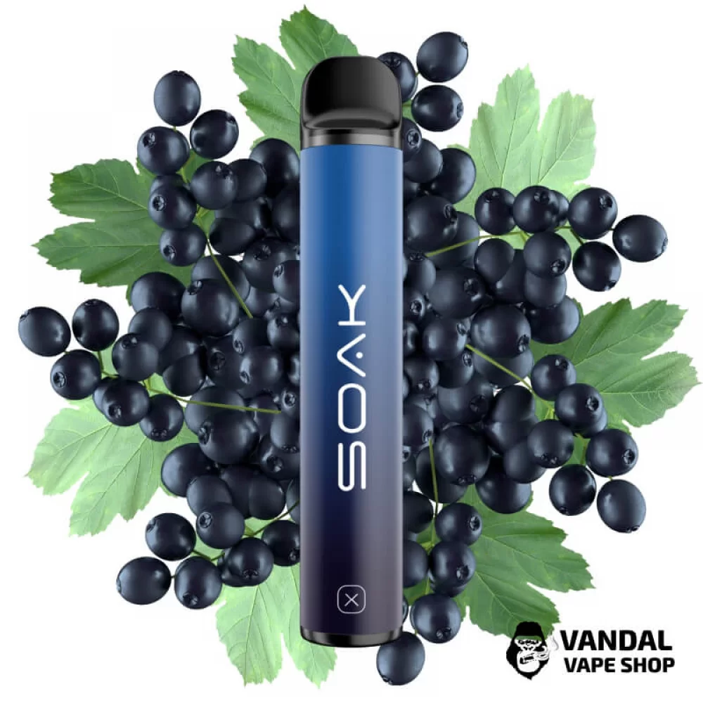 Одноразовая Pod система Soak X 50 мг 850 мАч на 1500 затяжек со вкусом черники и хвои Одноразовая Pod система Soak X 50 мг 850 мАч на 1500 затяжек со вкусом черники и хвои