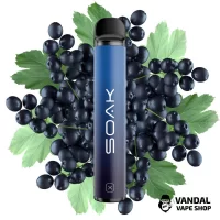 Soak X 1500 50 мг 850 мАг - Forest Blackcurrant