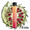 Одноразова Pod система Soak X 50 мг 850 мАг на 1500 затяжок зі смаком жасминового чаю з малиною Одноразова Pod система Soak X 50 мг 850 мАг на 1500 затяжок зі смаком жасминового чаю з малиною