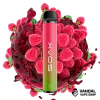 Soak X 1500 50 мг 850 мАг - Raspberry Soda