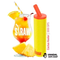 Straw 3000 Disposable Pod 1300 мАг 5% - Cactus Kooler