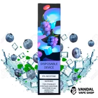 ZeeZee Disposable Pod Kit 5% 850 mAh 1500 Puffs - Blackberry Ice