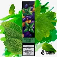 ZeeZee Disposable Pod Kit Mint 5% 400 mAh 500 Puffs