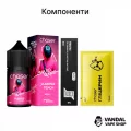 Набор для самозамеса Chaser Squid Game 30 мл 50 мг - со вкусом ананаса, лайма, маракуи