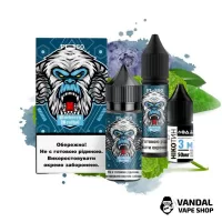 Набор FL350 Salt 30 мл 50 мг - Blueberry Menthol