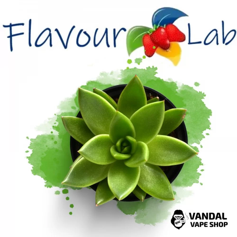 Ароматизатор FlavourLab 10 мл со вкусом кактуса Ароматизатор FlavourLab 10 мл со вкусом кактуса