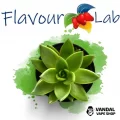 Ароматизатор FlavourLab 10 мл со вкусом кактуса Ароматизатор FlavourLab 10 мл со вкусом кактуса