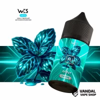 Набір WES Ai Neon 30 мл 65 мг - Mint