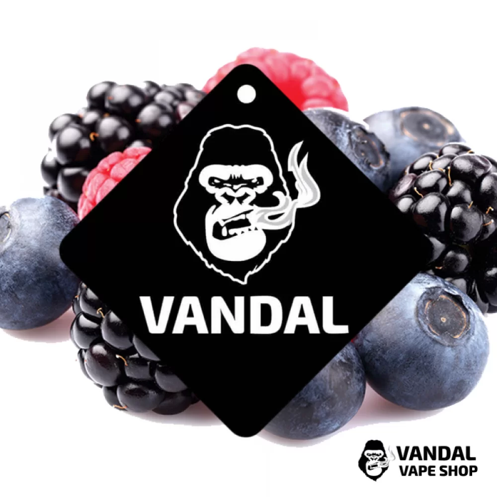 Ароматизатор для авто - Vandal Vape с ароматом малины, ежевики и черники Ароматизатор для авто - Vandal Vape с ароматом малины, ежевики и черники