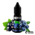 Рідина Nova Salt 15 мл на сольовому нікотині 65 мг зі смаком чорниці та смородини Рідина Nova Salt 15 мл на сольовому нікотині 65 мг зі смаком чорниці та смородини
