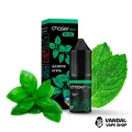 ЖИДКОСТЬ Chaser Mix SALT - 10 мл 60 мг НА СОЛЕВОМ НИКОТИНЕ СО ВКУСОМ базилика и мяты ЖИДКОСТЬ Chaser Mix SALT - 10 мл 60 мг НА СОЛЕВОМ НИКОТИНЕ СО ВКУСОМ базилика и мяты