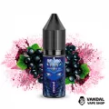 ЖИДКОСТЬ Flavorlab FL 350 30 мл НА СОЛЕВОМ НИКОТИНЕ 30 мг со вкусом черной смородины ЖИДКОСТЬ Flavorlab FL 350 30 мл НА СОЛЕВОМ НИКОТИНЕ 30 мг со вкусом черной смородины